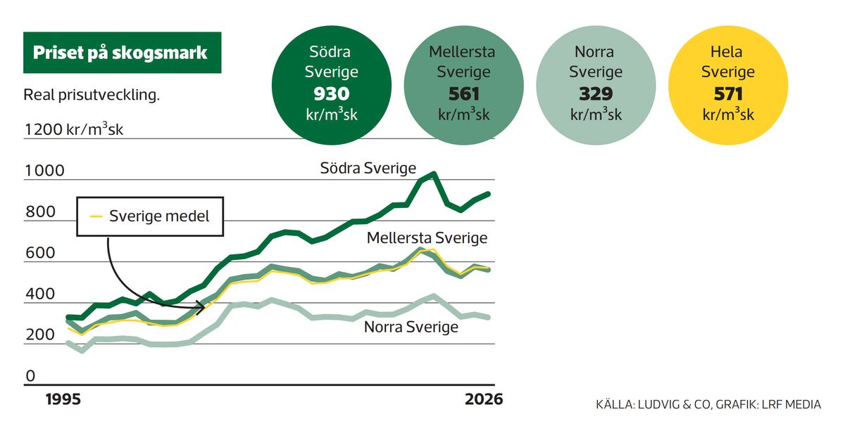 Prisutvecklingen på skogsmark i Sverige 1995–2026 per region.