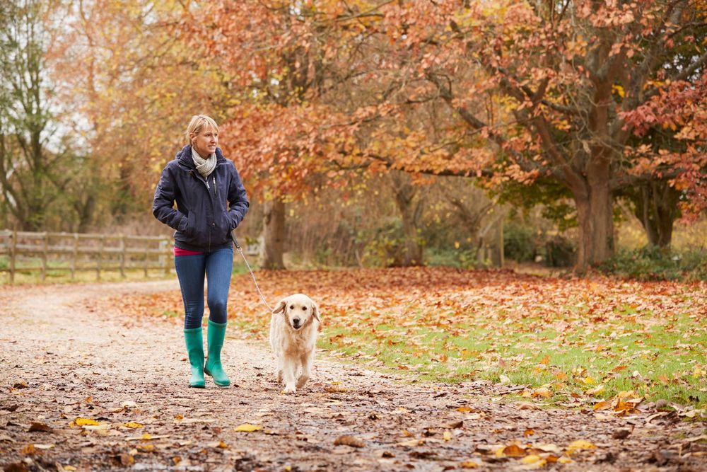 Kvinna går promenad med hund i höstig lövskog.