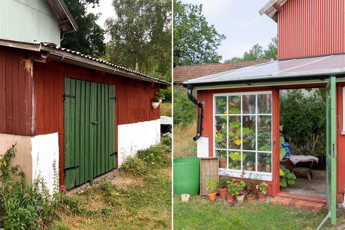 Litet växthus eller uterum vid rött hus med många gröna växter och stol