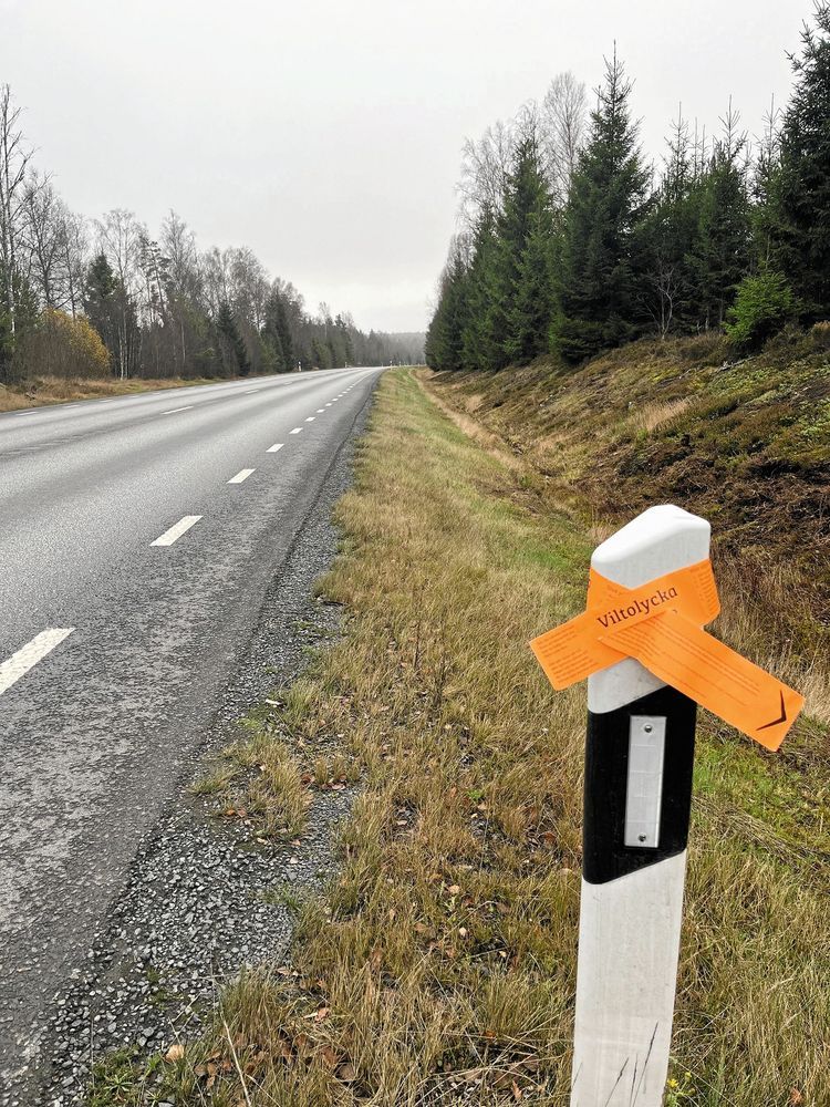 En brandgul markeringsremsa är fäst på en pinne intill landsvägen.