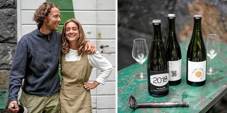 Klara och Axel gör hyllad cider: ”Vi letar efter vilda träd och gamla odlingar”