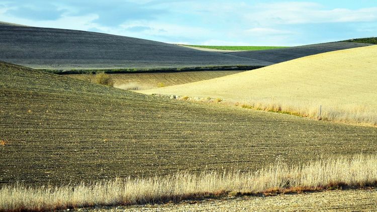 Slutsåld: Besök Andalusiens kornbod - Sevilla