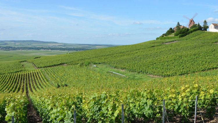 Slutsåld: Upplev sprudlande Champagne med Mattias "Fredagskocken" Larsson