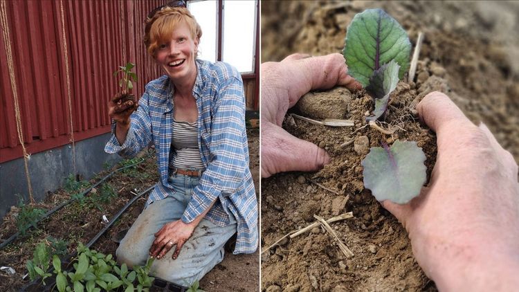 Så vågar du börja odla – och här är råden du kan strunta i