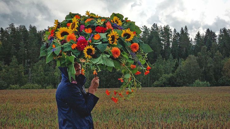 Så odlar du snittblommor i norr