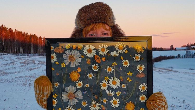 Odla i norr: Spara sommaren som en tavla