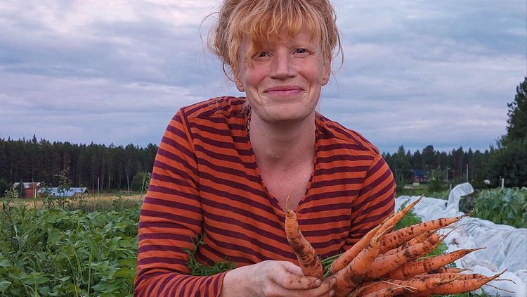 11 sätt att spara skörden på