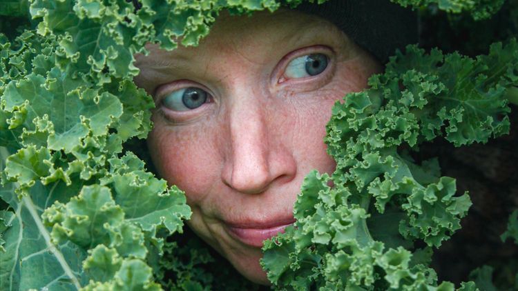 Odla i norr: Grönkål och andra superhjältar som tål att stå ute i snön