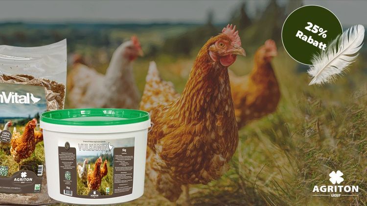 Lucka 16: En eggstra God Jul! 25% på hönsserie från Agriton