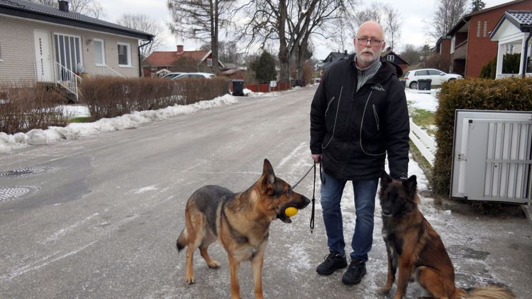 Hundarna blev räddningen efter sonens död
