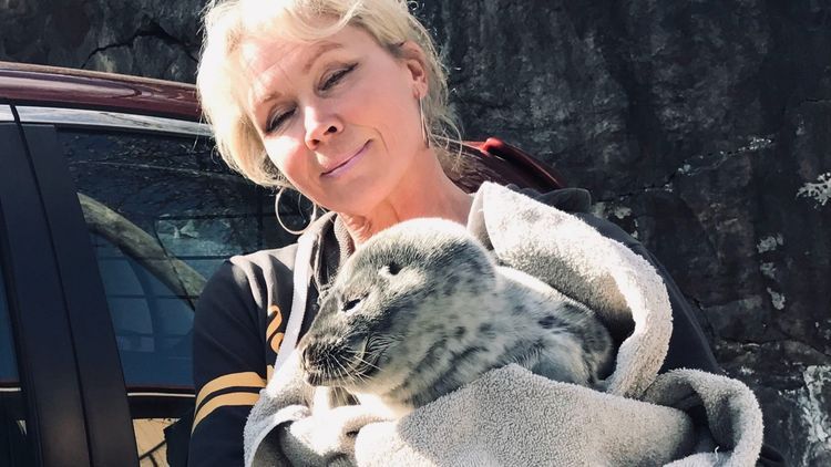 Här räddar Lili Päivärinta skadade djur – sälkutar, svanar och ugglor får en ny chans