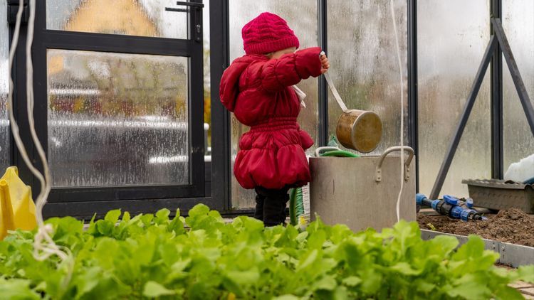 Fem fiffiga prylar för växthuset