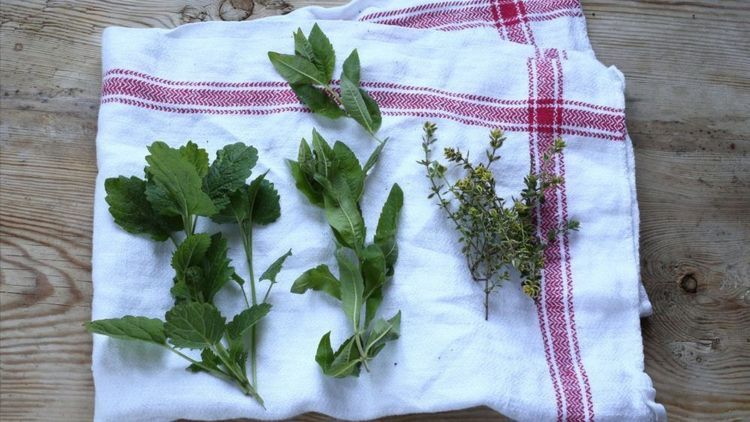 3 gröna favoriter med smak av citron