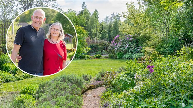 De skapade en blomstrande trädgård i sand och sten