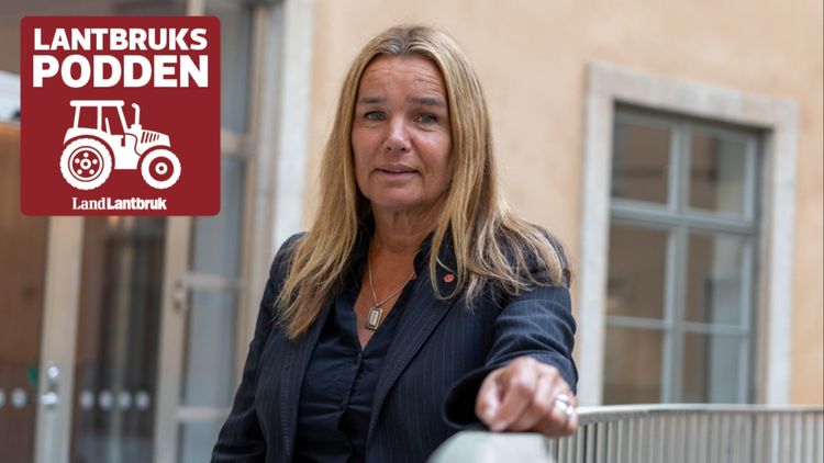 S: ”Betesrätten är en konkurrensfördel”