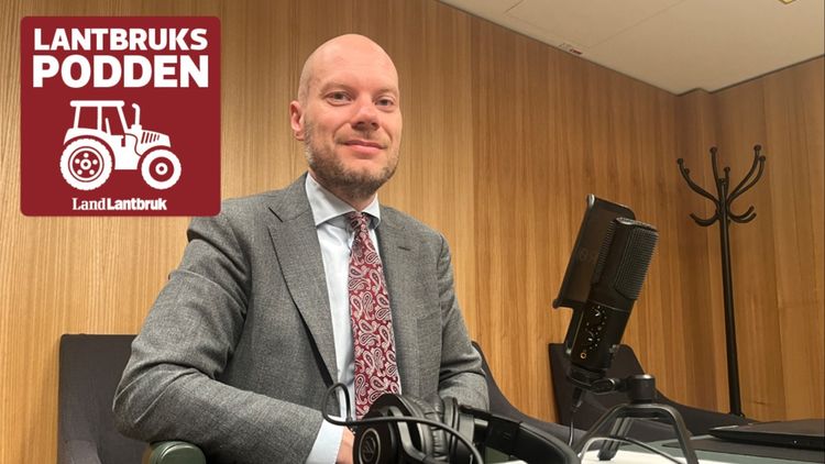 SD: ”Areella näringarna missgynnas mest”