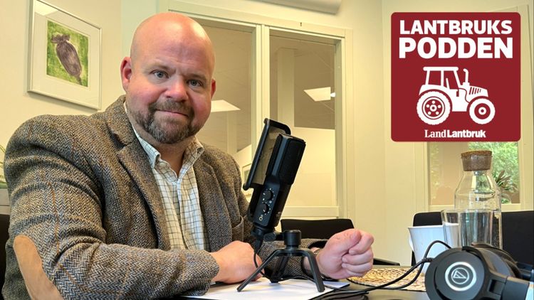 KD: ”Man gillar riktningen och attityden”