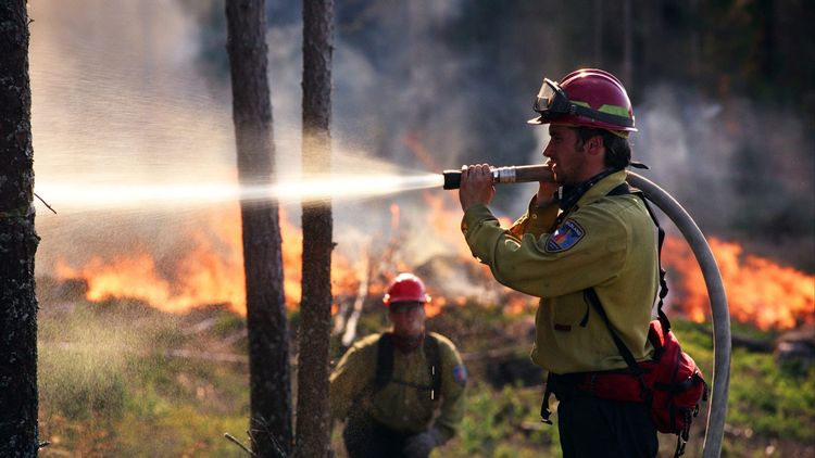 Vi har ingen naturkris som Naturskyddsföreningen påstår