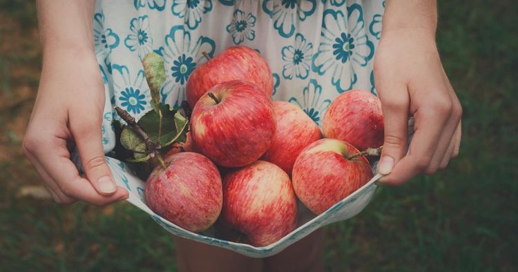Äpplen - visste du det här om äpplen?