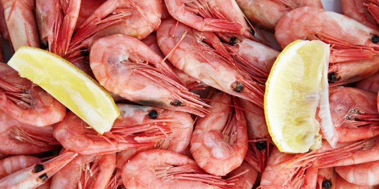 Friskt och lätt – vintips till färska räkor