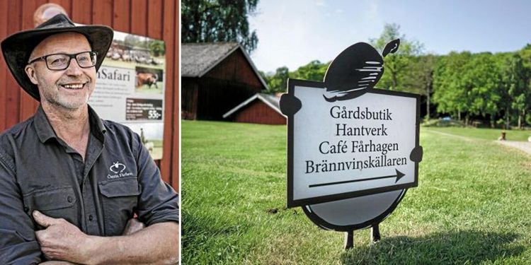 Fårfarmens succékombo: Mathantverk och turism