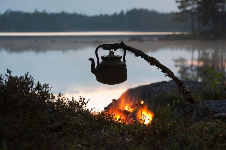 Bli en fena på allemansrätten – det här behöver du veta
