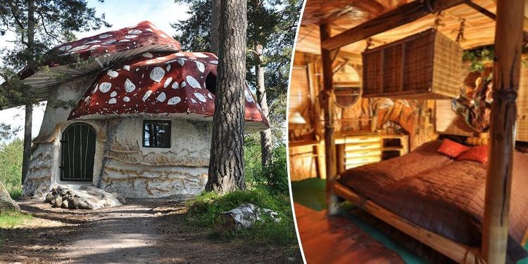 Spana in magiska semesterlyan – här kan du bo i en svamp!