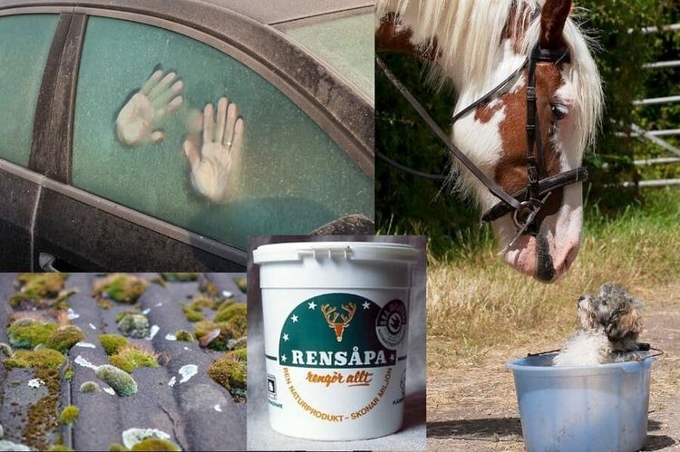 15 överraskande sätt att göra livet lättare med såpa