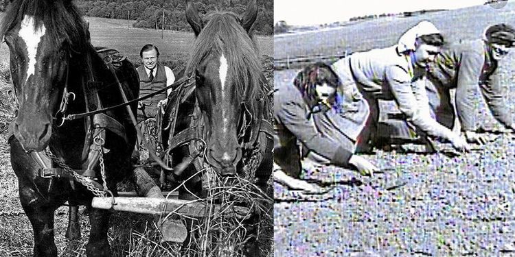 Finansminister Gunnar Strängs kamp mot fattigdomen – började på mjölkbordet!