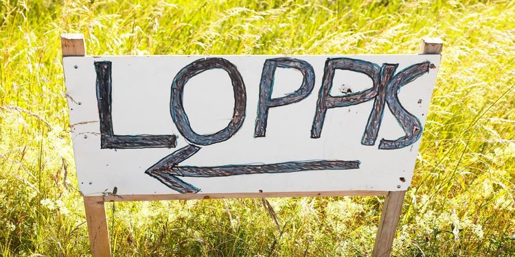 LISTA: 10 loppispärlor värda ett stopp – från norr till söder