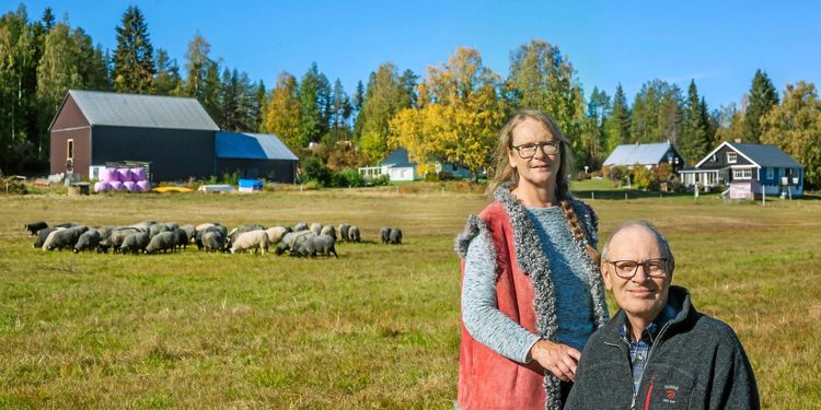Desirée och Peter: ”Vi tar till vara på allt från fåren”