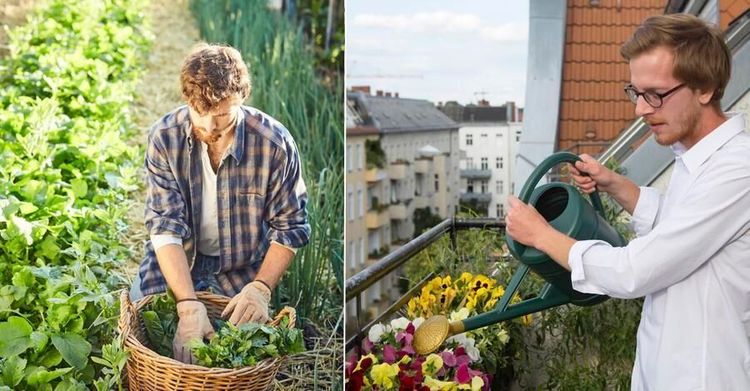 Nytt projekt: Glömda villaträdgårdar hittar nya odlare