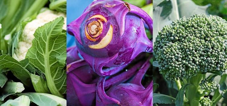 Blomkål, kålrabbi, broccoli. Det går att äta alla kålblad, även stocken!