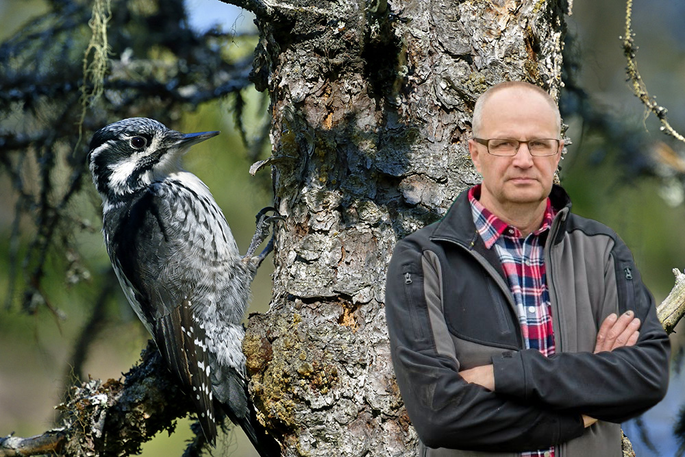 Palle Borgström med glasögon med träd där en hackspett sitter på stammen i bakgrunden