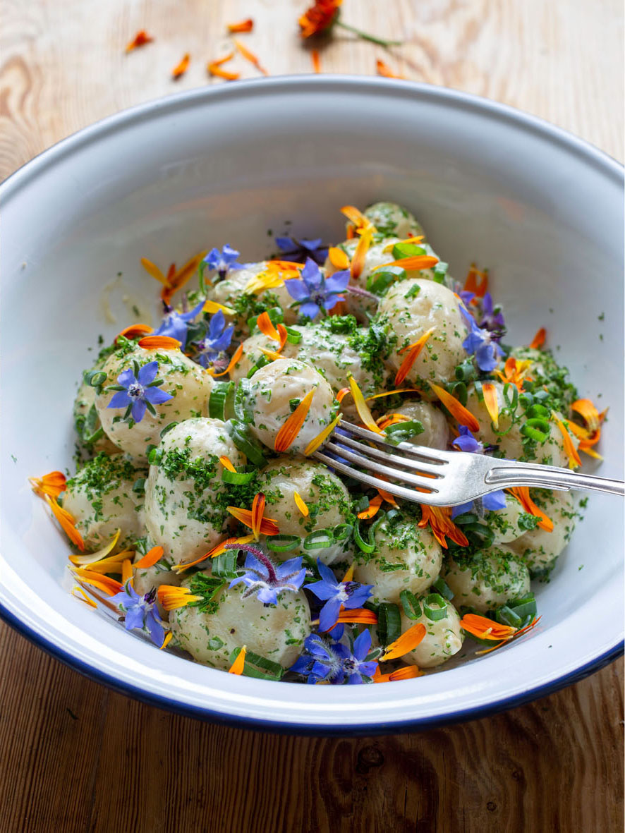 Färgglad potatissallad med sensommarpotatis