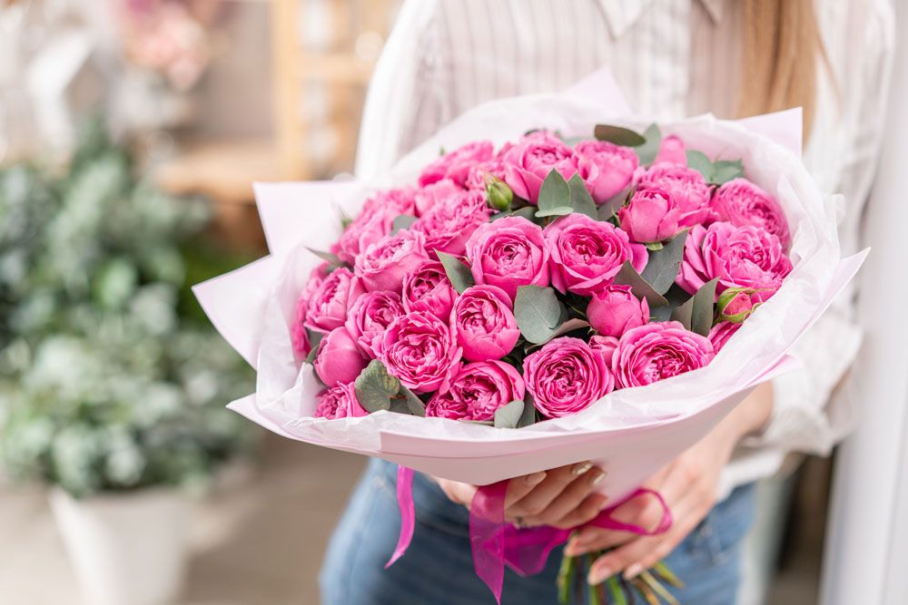 Rosa rosor.