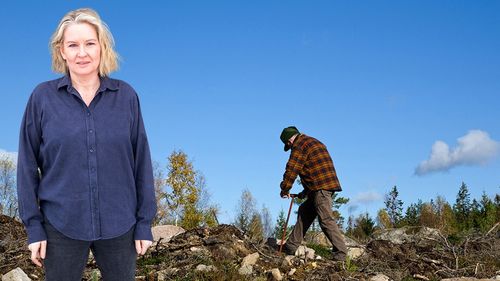 Socialt hållbart skogsarbete är branschens ansvar