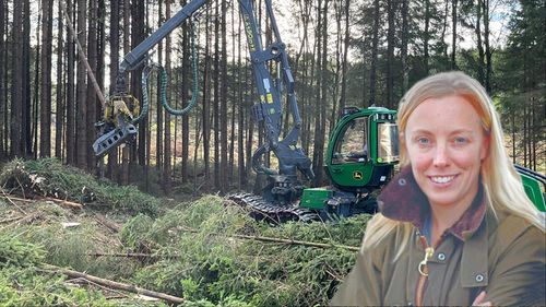 Viktigt att vi håller ihop i skogsdebatten