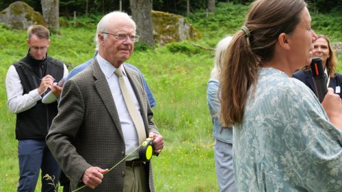 Kungligt fokus på mer nötkött från Sverige