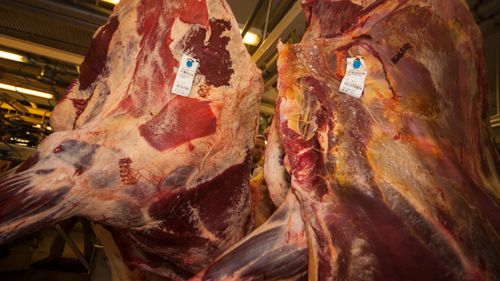 Brist på nötkreatur minskar tempot på slakterierna