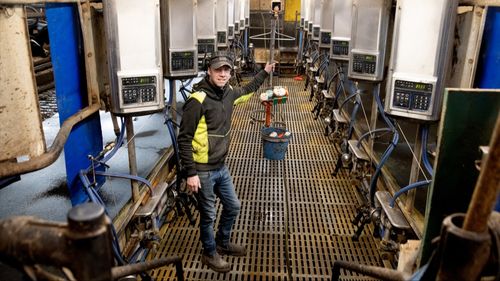 Avvecklar mjölkproduktionen – svårt att hitta kompetens