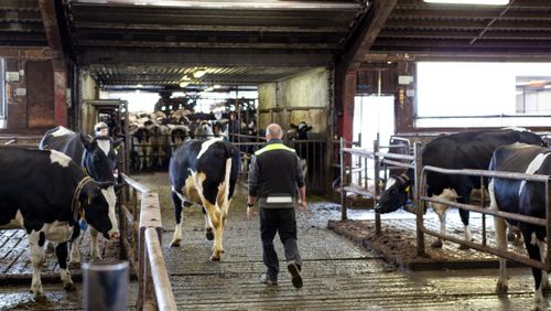 Gör lantbruket till en arbetsplats folk vill stanna på