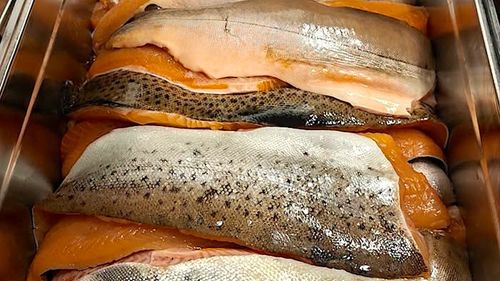 Fisketävling gav 97 kilo ädelfisk till äldreboende