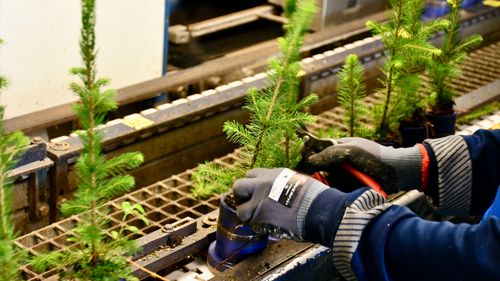Brett stöd för fortsatt svensk torvproduktion