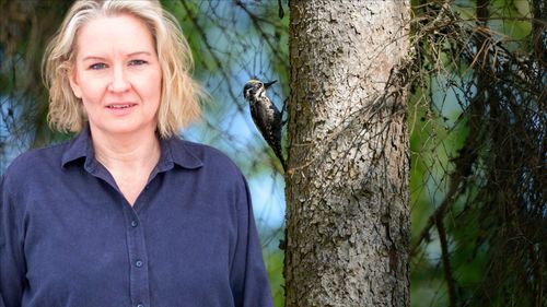En familj, en gård och en hektar i taget tynar vi bort
