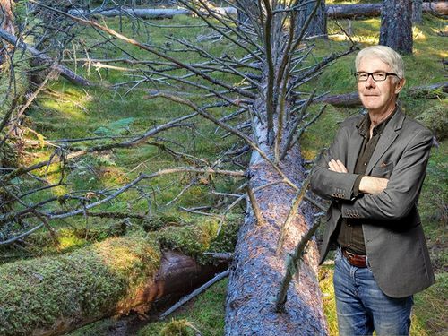 Hellre fler DNA-analyser och färre helgonglorior