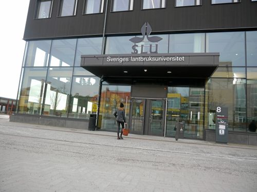 SLU: Vi är mycket angelägna om att fler ska välja att utbilda sig
