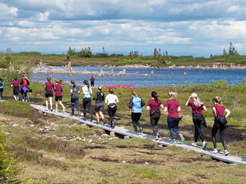 Rekord för träningssemestrar i fjällen i sommar