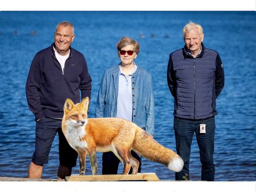 Så skrämmer Land bort kanadagäss – i Norge!