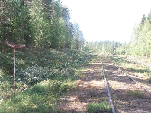 Nu rustas den nedlagda järnvägen mellan Jörn och Arvidsjaur